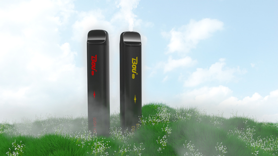 BOU-STANGE SMOK Wegwerf-3000 Batterie-Zigarette des Hauch-Zerstäuber-10ml der Eflüssigkeits-1350mah