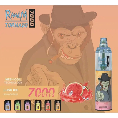 Kundenspezifische Wegwerf-Vape Hauche 45 14ML RADNM Zerstäuber-7000 würzt e-Cig