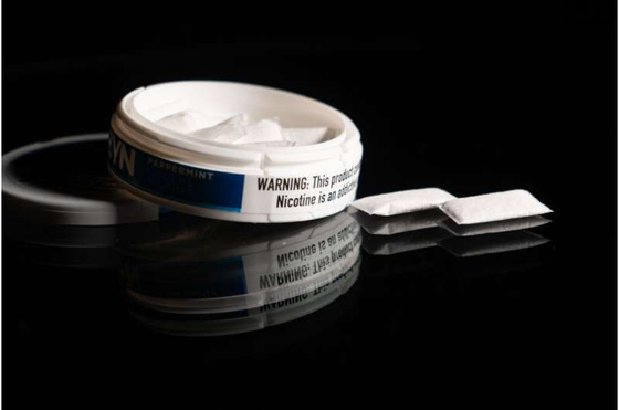 2024 Best Manufacturer Großhandel Custom OEM Nikotinbeutel 30 Aromen