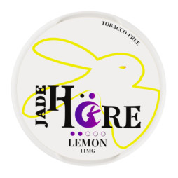Synthetische Jade Hare Nikotinbeutel 6/7/8/10mg 20mg Beutel 11 Aromen
